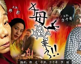 啪啪网视频